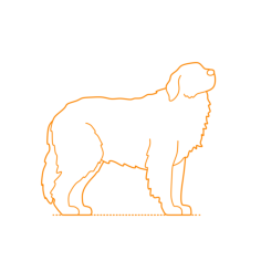 Animals Dogs Pyrenean Mastiff Outline Icon Svg Set, Free Vectors File